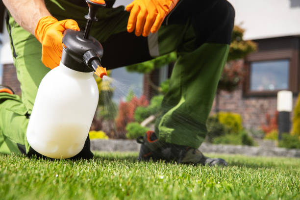 Best Pest Removal Services  in Seat Pleasant, MD