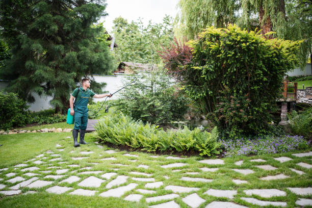 Best Insect Control  in Seat Pleasant, MD