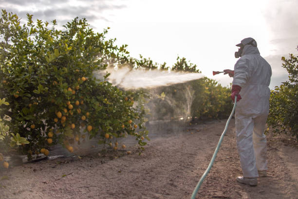 Best Pest Control Near Me  in Seat Pleasant, MD