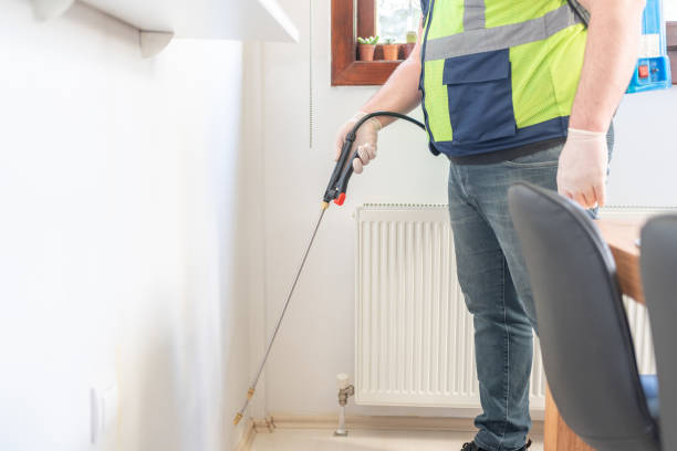 Best Termite Control Services  in Seat Pleasant, MD