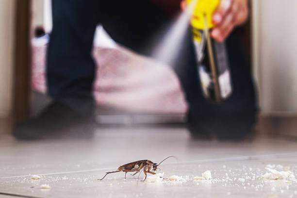 Best Best Pest Control Companies  in Seat Pleasant, MD